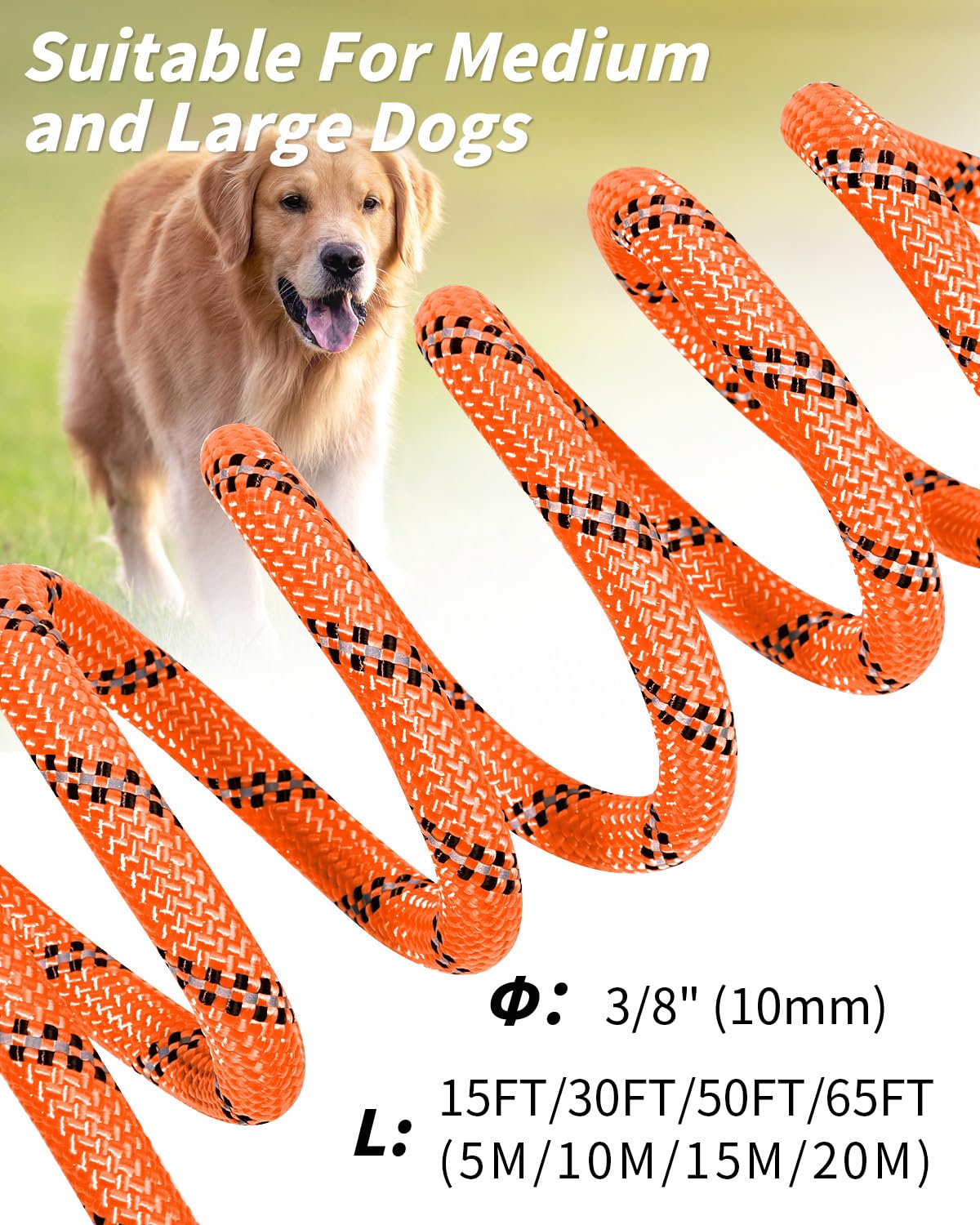 Foto 7 pulgar | Correa Larga Para Perros Training Leash Joytale, 30 Pies, Color Naranja - Venta Internacional.