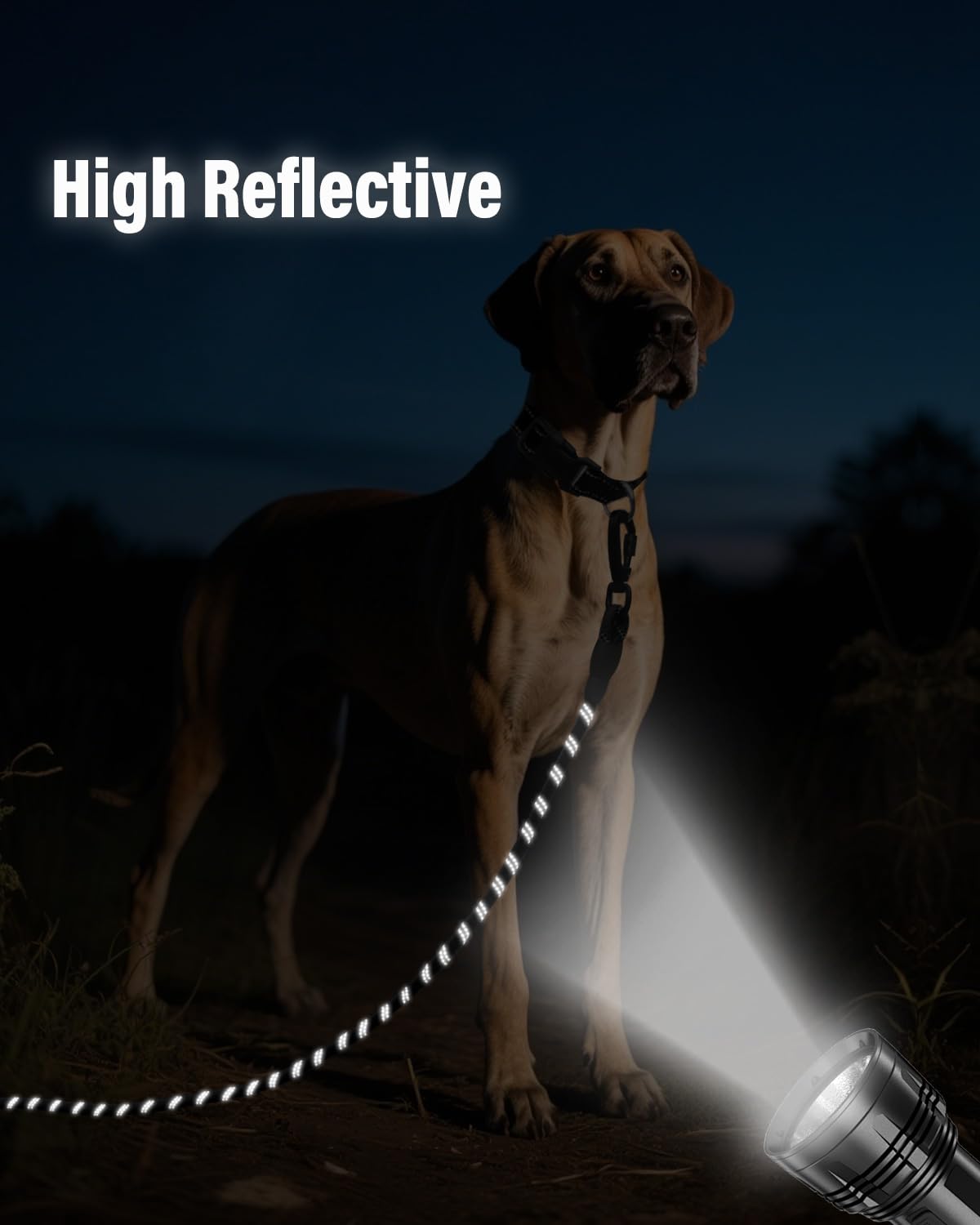 Foto 6 pulgar | Training Leash Joytale - Correa Larga Para Perros (10 Mm X 5 M), Color Negro - Venta Internacional.