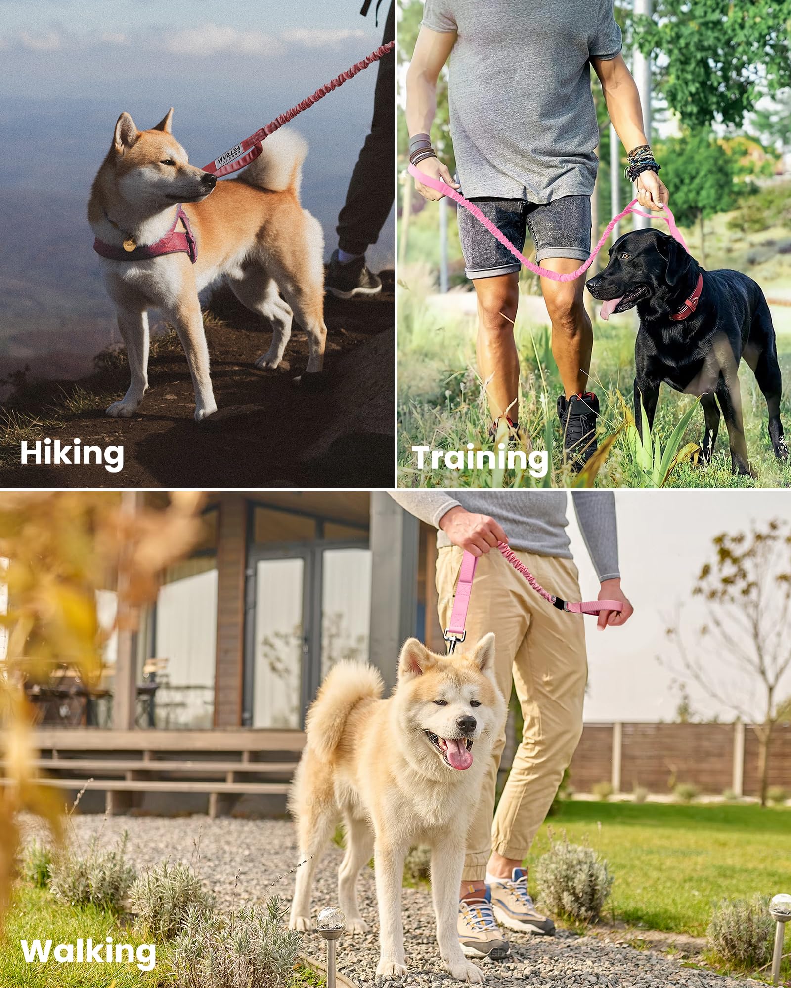 Foto 7 pulgar | Correa Elástica Para Perros Outdoormaster, De Alta Resistencia, Absorción De Impactos - Venta Internacional.