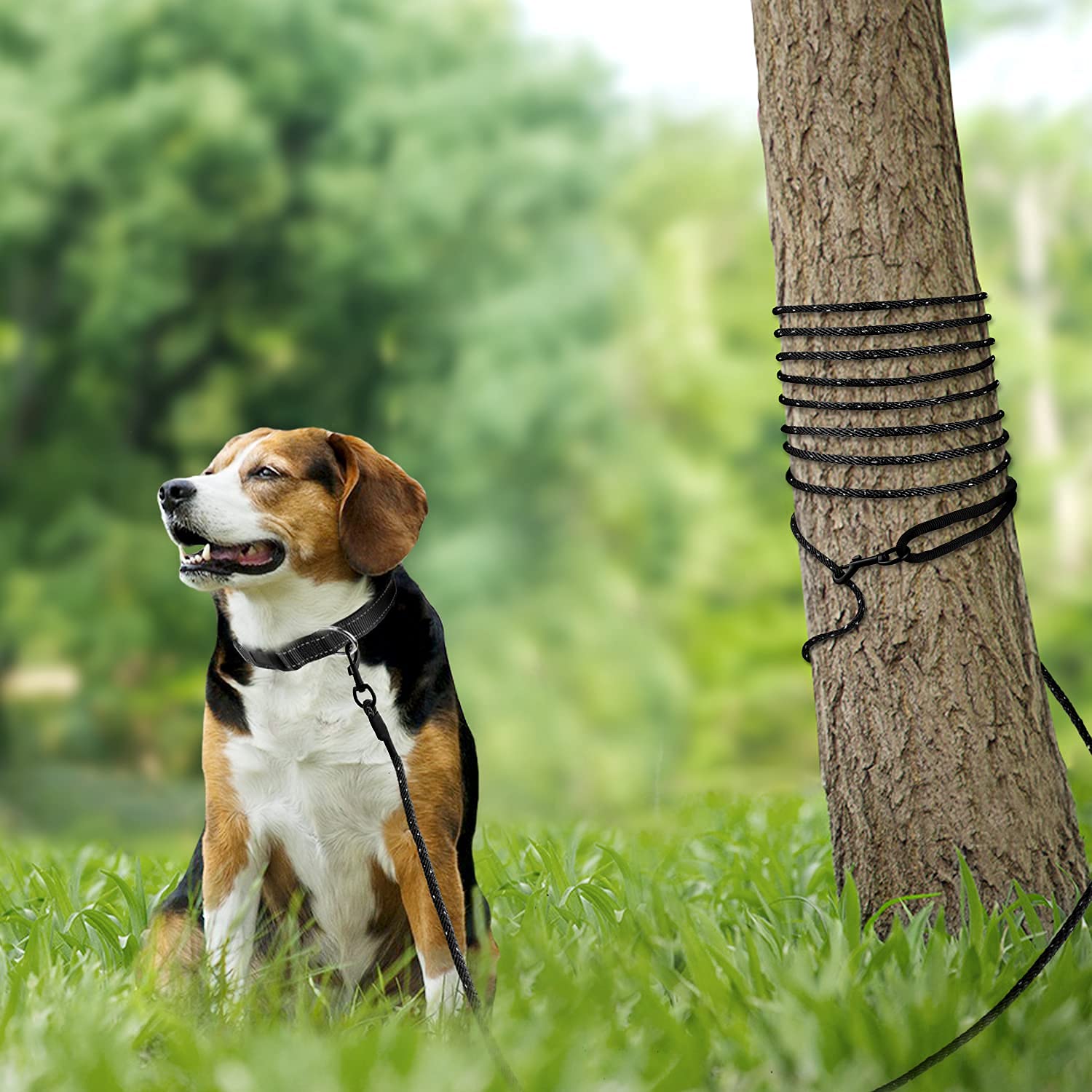 Foto 6 | Correa De Adiestramiento Para Perros Joytale, Larga, 9 M, De Nailon Con Asa Acolchada - Venta Internacional.
