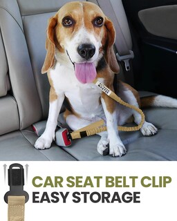 Foto 4 | Correa Elástica Para Perros Outdoormaster, De Alta Resistencia, Absorción De Impactos - Venta Internacional.