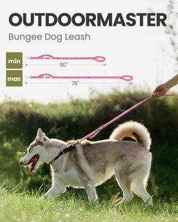Foto 3 | Correa Elástica Para Perros Outdoormaster, De Alta Resistencia, Absorción De Impactos - Venta Internacional.