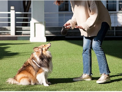 Foto 5 | Correa Retráctil Para Perros Fida De 16 Pies Para Perros Medianos De Hasta 20 Kg - Venta Internacional.