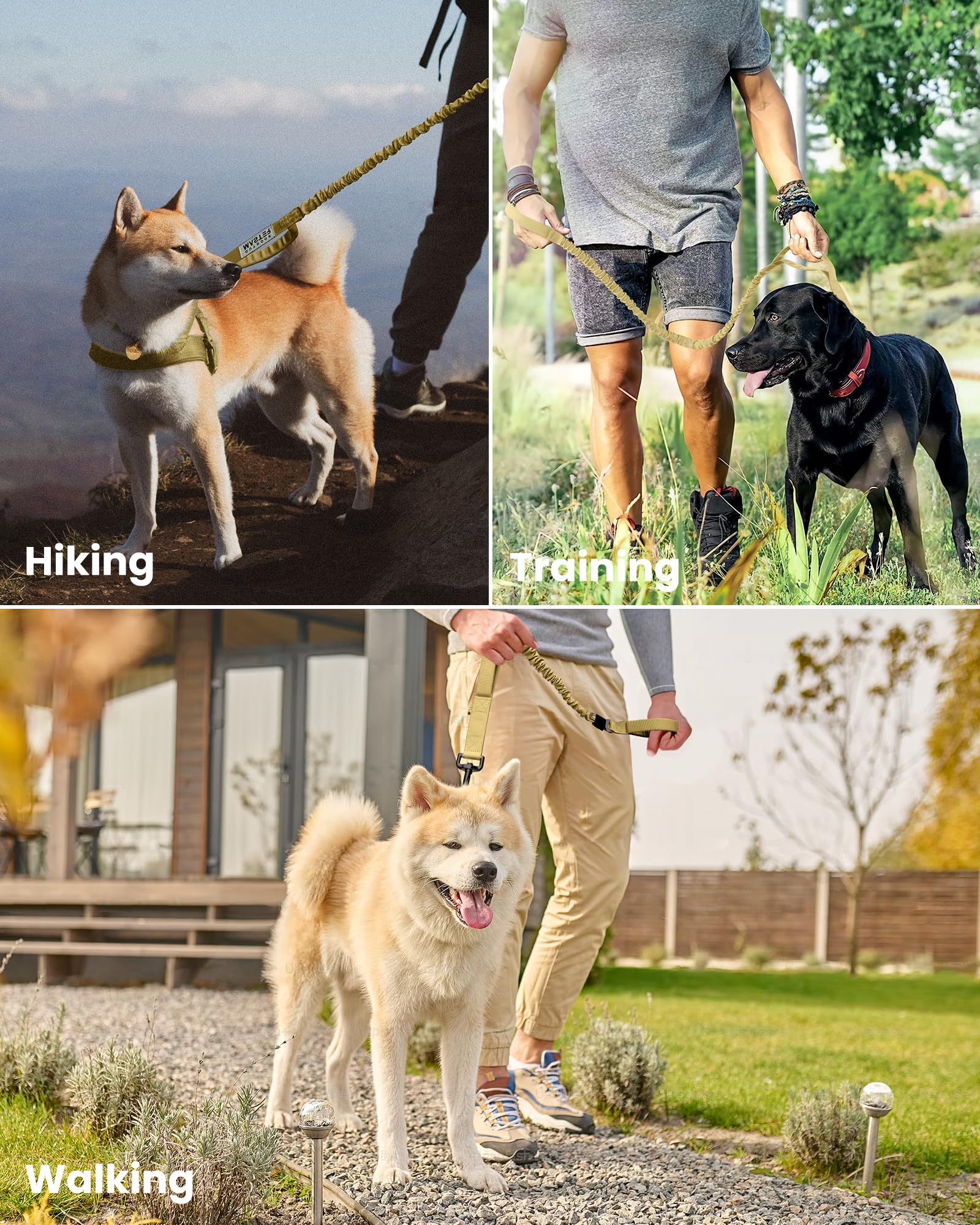 Foto 7 pulgar | Correa Elástica Para Perros Outdoormaster, De Alta Resistencia, Absorción De Impactos - Venta Internacional.