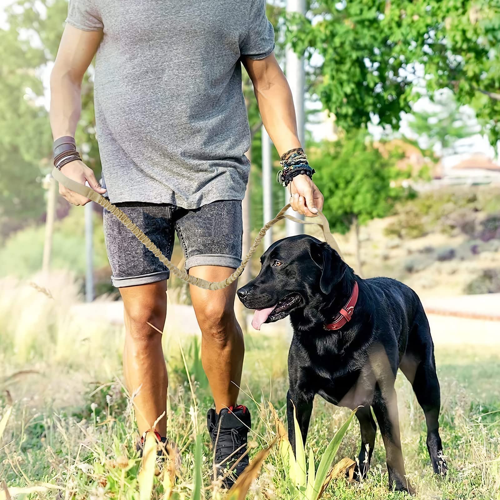 Foto 6 | Correa Elástica Para Perros Outdoormaster, De Alta Resistencia, Absorción De Impactos - Venta Internacional.