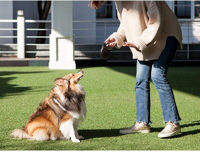 Foto 5 | Correa Retráctil Para Perros Fida De 16 Pies Para Perros Medianos De Hasta 20 Kg - Venta Internacional.