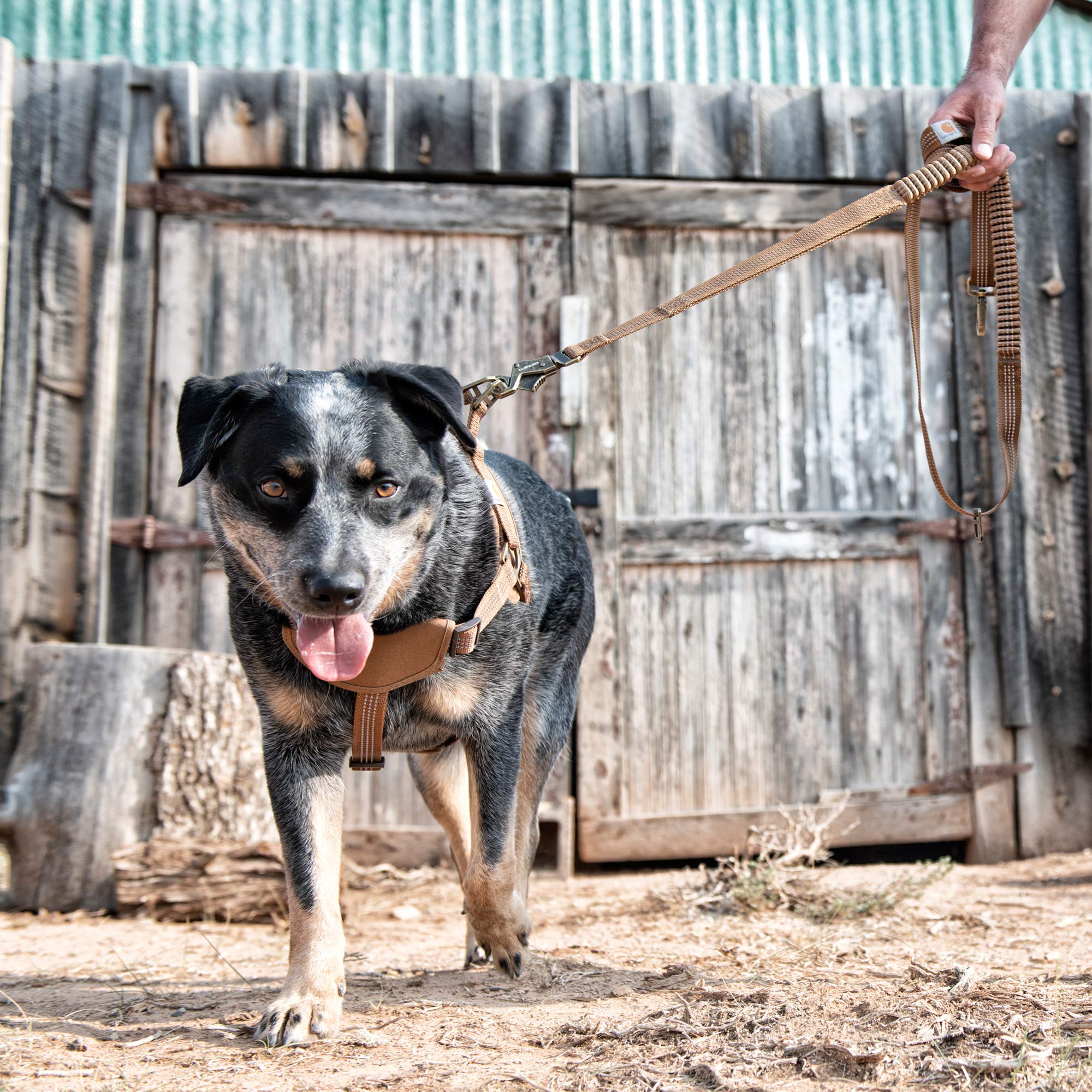 Foto 7 pulgar | Correa Para Perros Carhartt, Amortiguadora, Marrón Y Latón Cepillado - Venta Internacional.