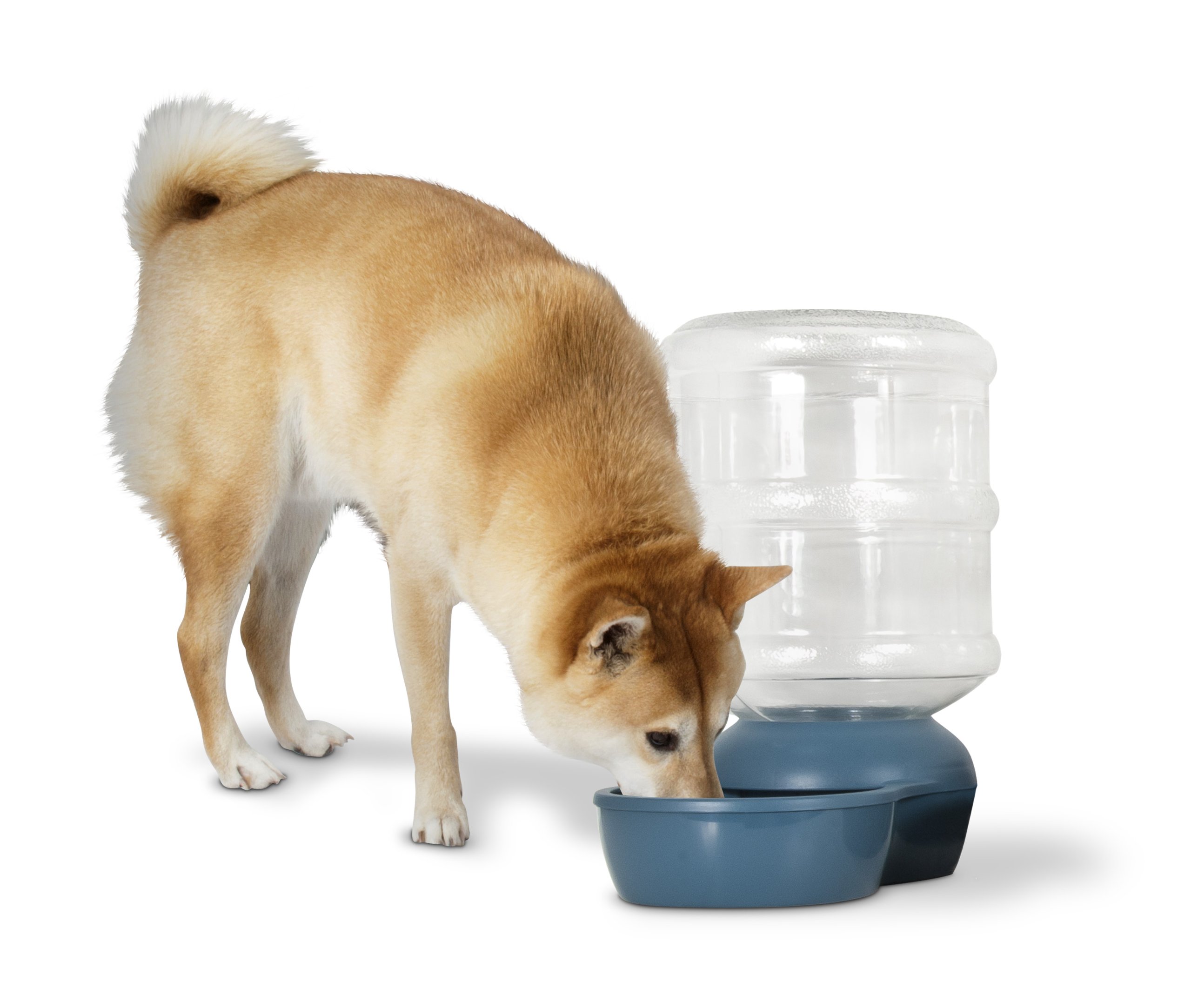 Foto 2 pulgar | Gravity Waterer Aspen Pet Lebistro Para Perros Y Gatos, 3,8 Litros - Venta Internacional.