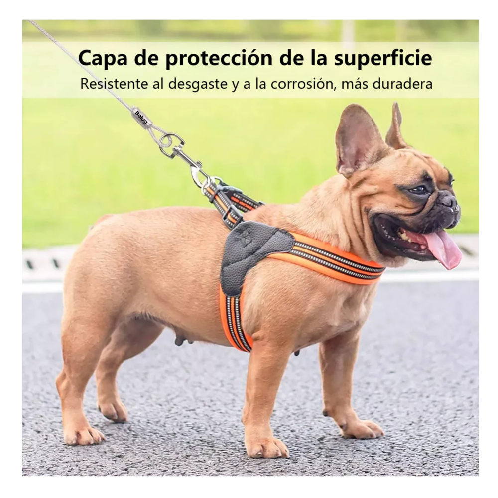 Foto 5 | Cable De Amarre Mascota Acero Belug  Plata