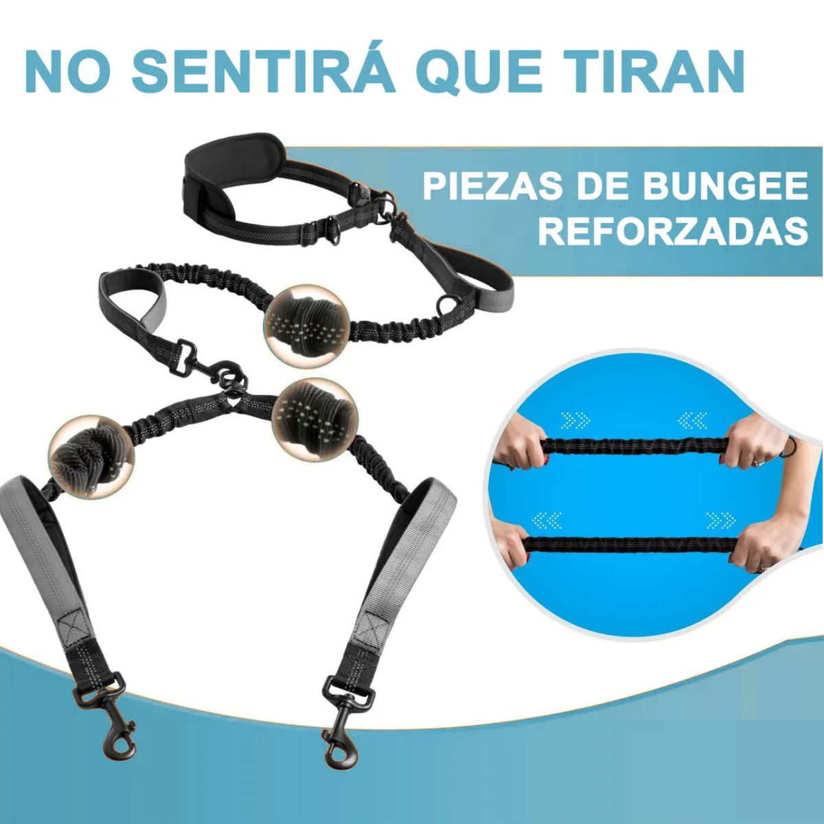 Foto 2 | Correa Doble Para 2 Perros Eo Safe Imports Esi-20214 Negro