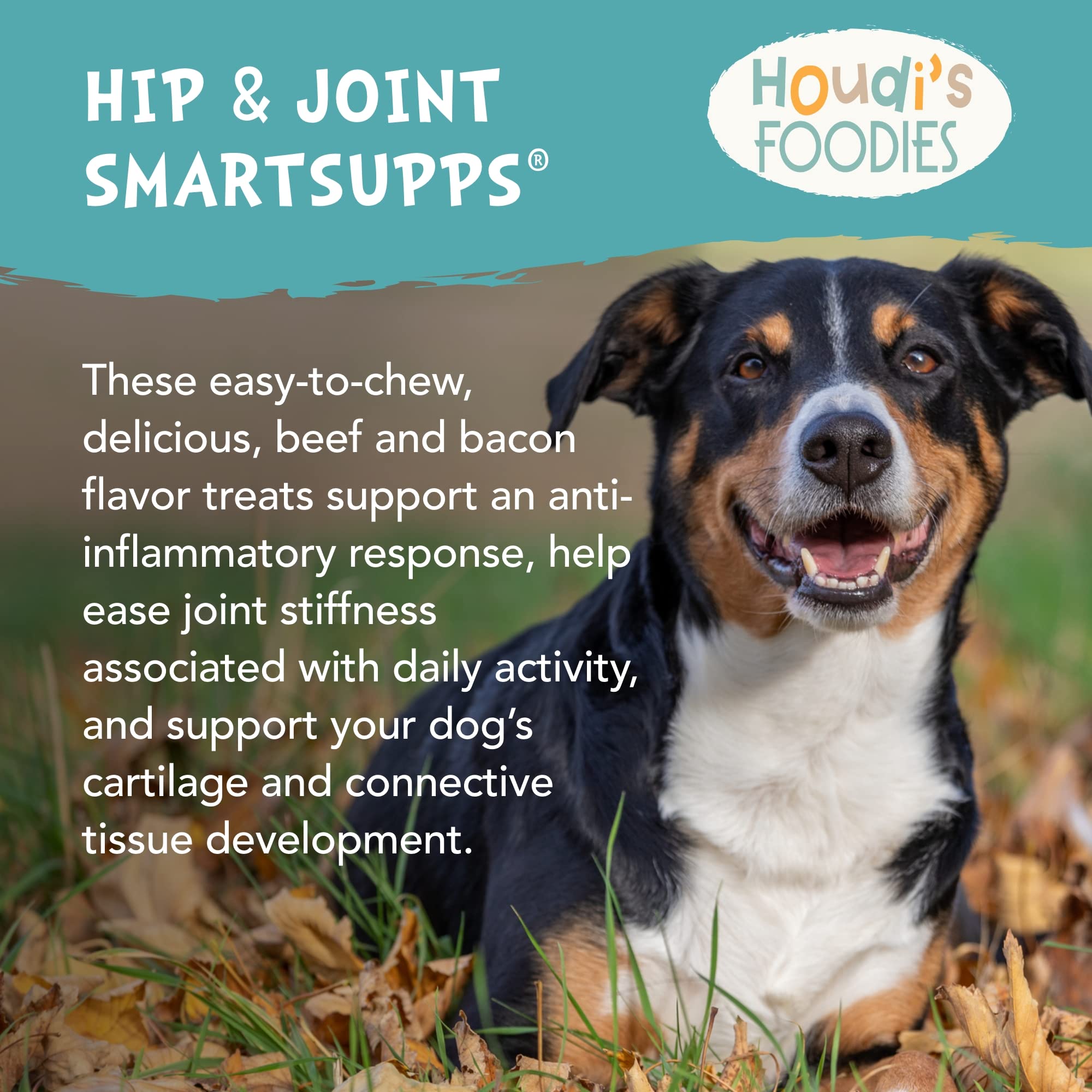 Foto 4 pulgar | Golosinas Para Perros North American Herb & Spice Houdi's Foodies Hip & Joint - Venta Internacional.