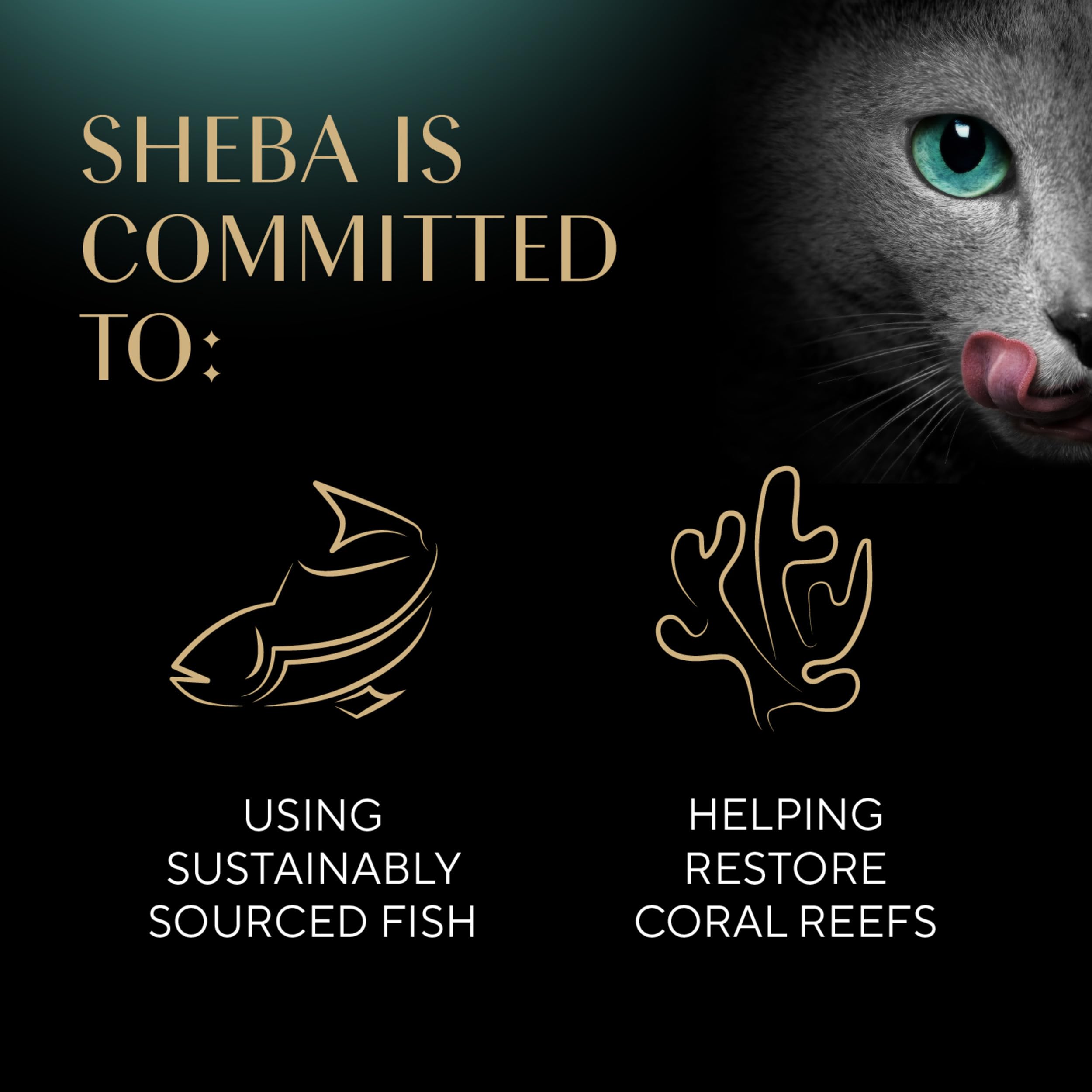 Foto 5 | Palitos Tiernos Y Carnosos De Sheba De Cat Treats Con Pollo  Atún Y Salmón - Venta Internacional.