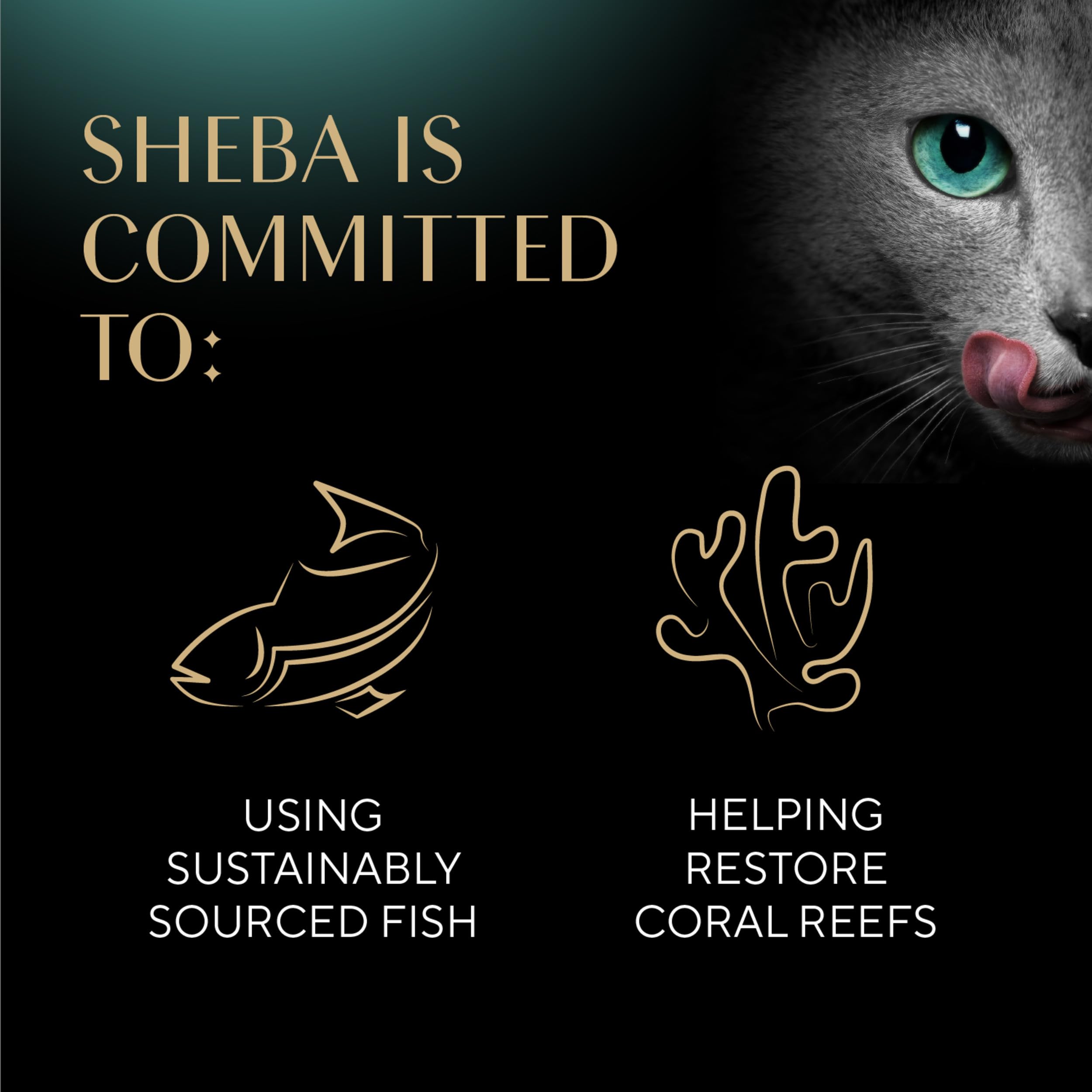 Foto 5 | Palitos Tiernos Y Carnosos De Sheba De Cat Treats Con Pollo  Atún Y Salmón - Venta Internacional.