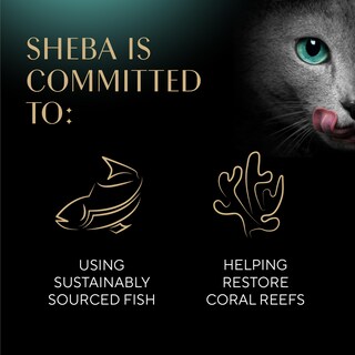 Foto 5 | Palitos Tiernos Y Carnosos De Sheba De Cat Treats Con Pollo Atún Y Salmón - Venta Internacional.