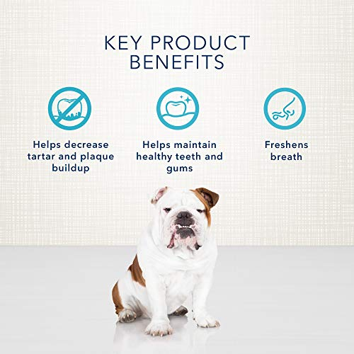 Foto 4 | Golosinas Para Perros Blue Buffalo Dental Bones Regular 340 G - Venta Internacional.