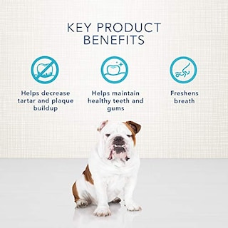 Foto 4 | Golosinas Para Perros Blue Buffalo Dental Bones Regular 340 G - Venta Internacional.