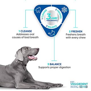 Foto 4 | Masticables Antisarro Virbac Cet Veggiedent Fr3sh Para Perros - Venta Internacional.