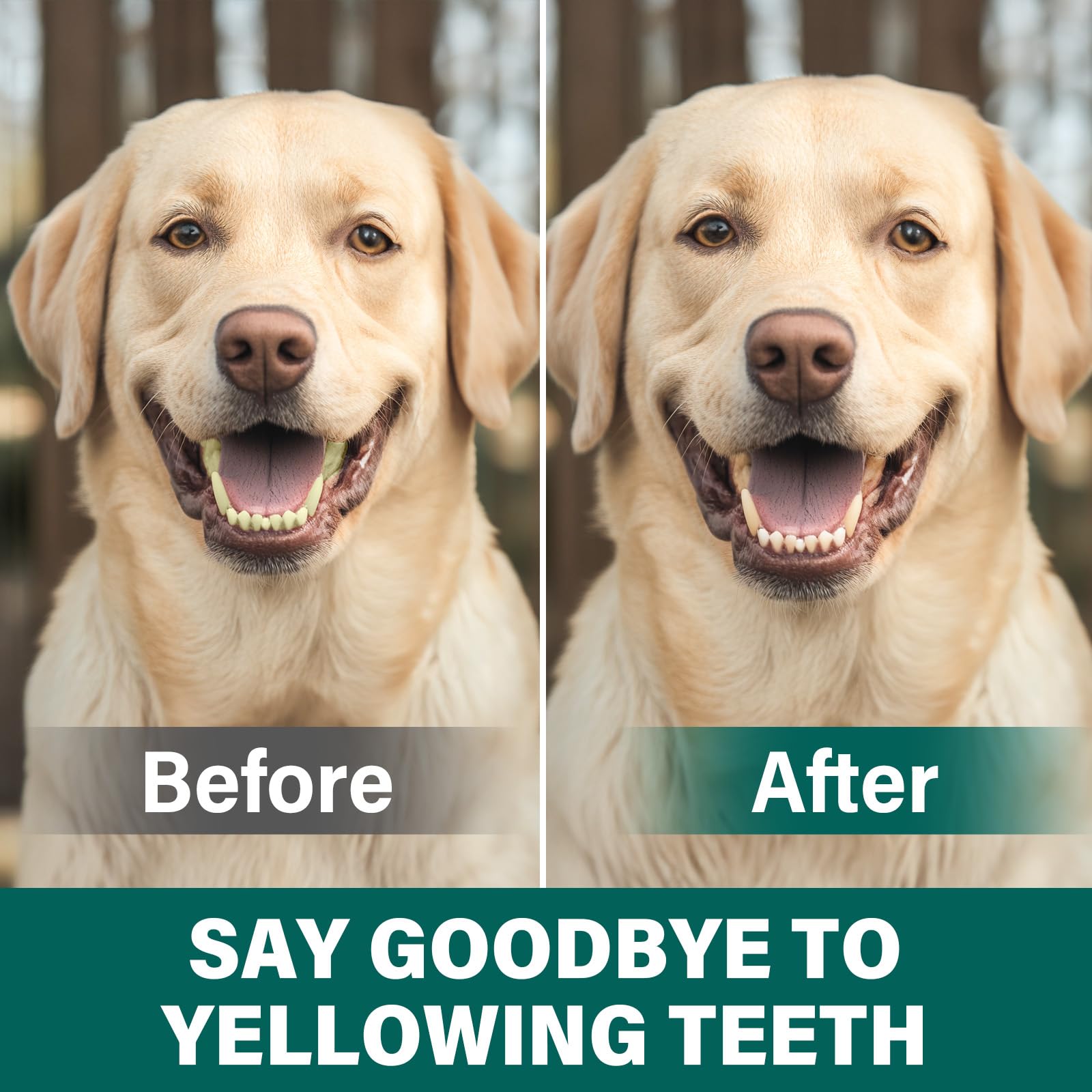 Foto 5 | Polvo Limpiador De Dientes Para Perros Fancy Pets, 100 G, Para El Mal Aliento - Venta Internacional.