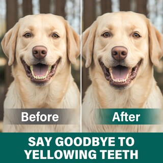 Foto 5 | Polvo Limpiador De Dientes Para Perros Fancy Pets, 100 G, Para El Mal Aliento - Venta Internacional.