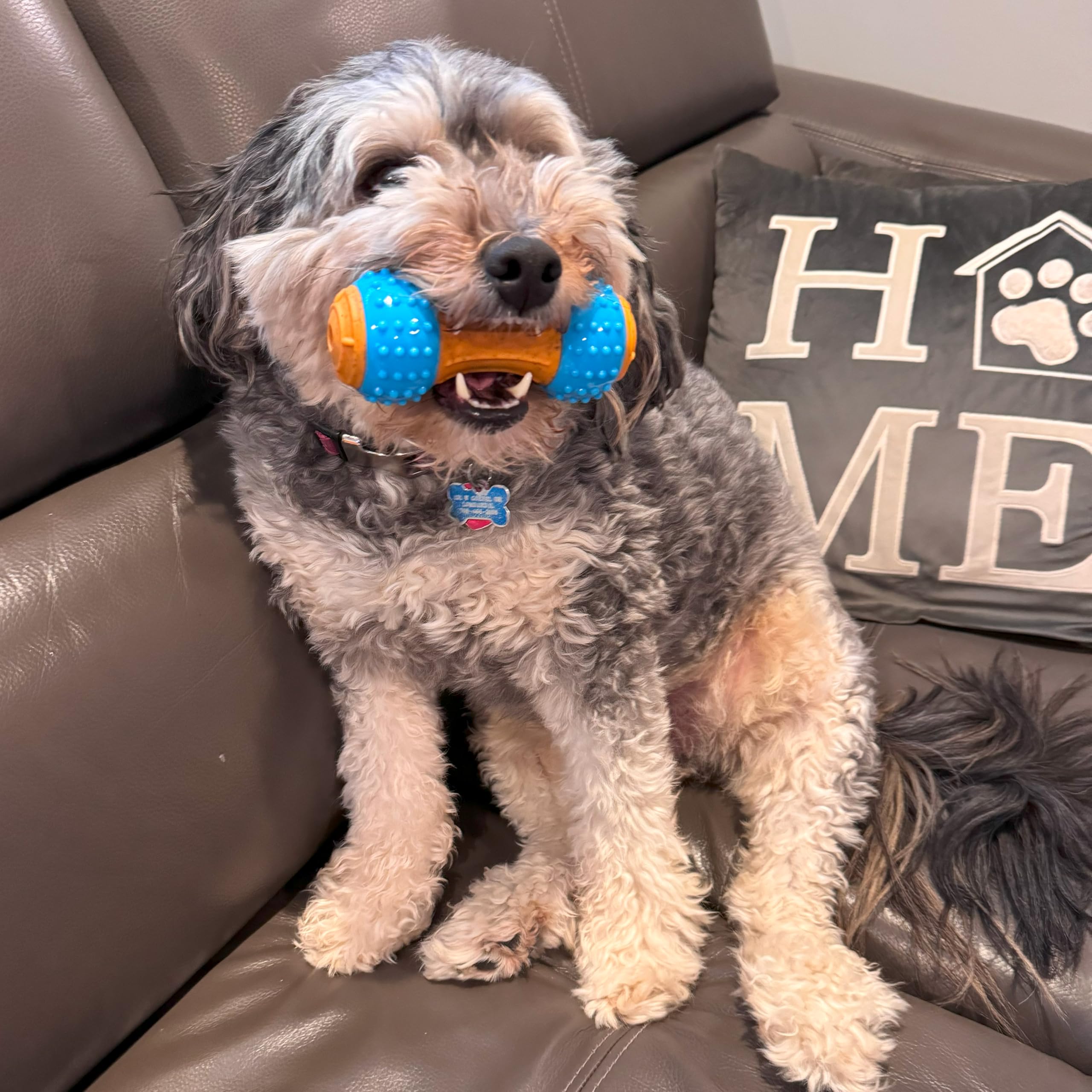 Foto 5 | Mancuerna Spot Bam-bones Plus Gigglers Para Perros, 14 Cm - Venta Internacional.