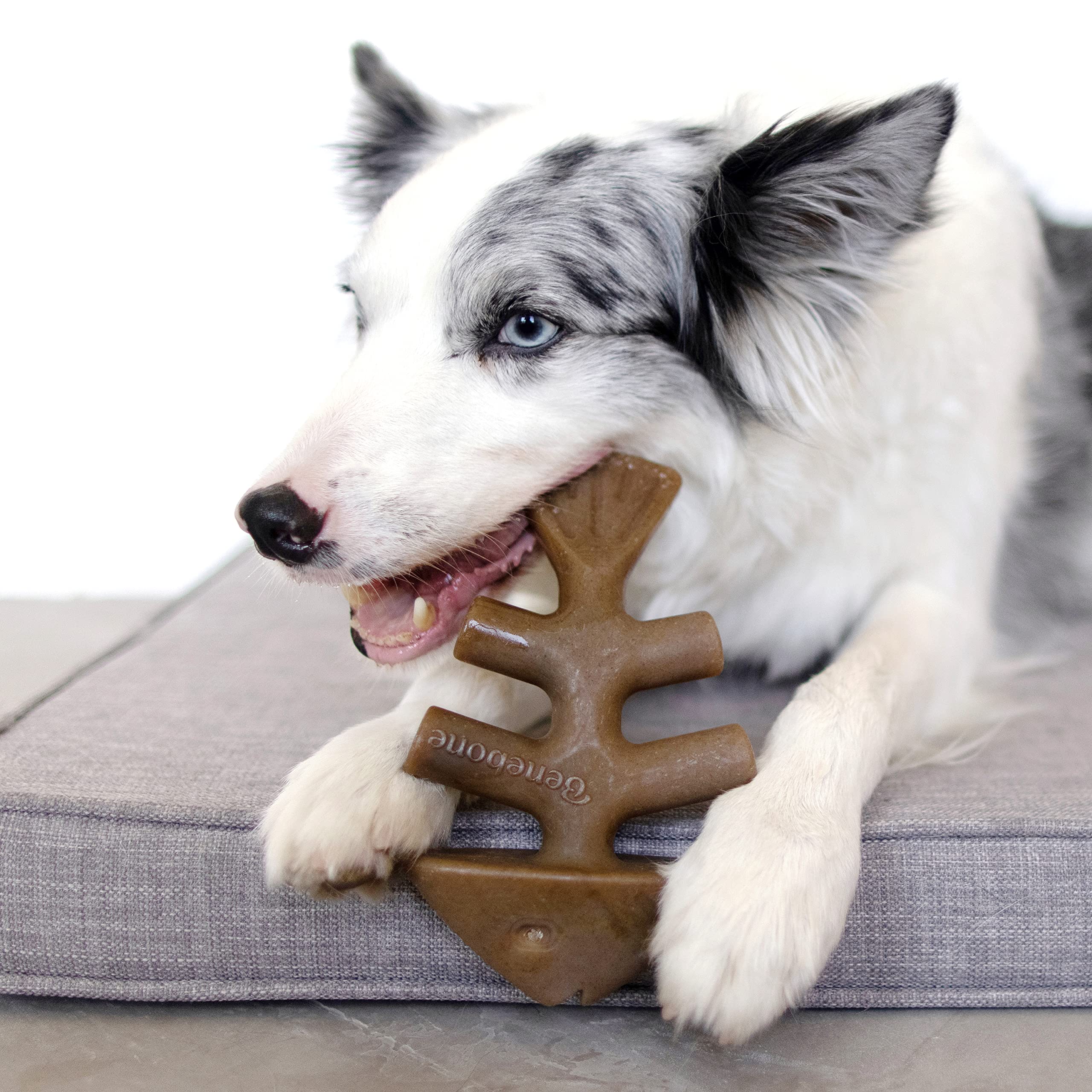Foto 4 pulgar | Juguetes Masticables Para Perros Benebone, Tamaño Mediano, Paquete De 4 Para Masticadores Agresivos - Venta Internaci