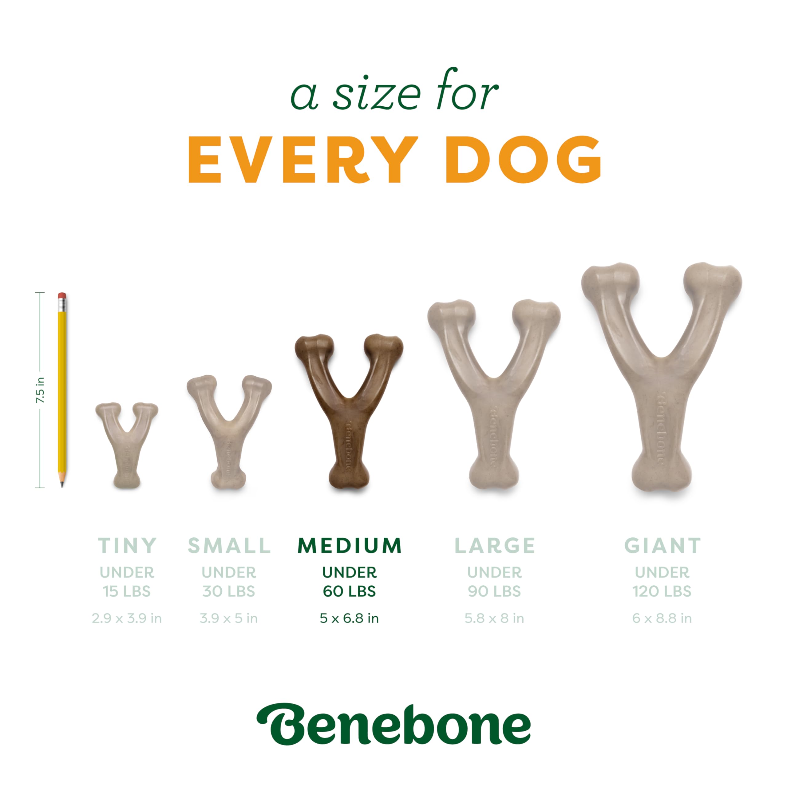 Foto 5 pulgar | Juguete Masticable Para Perros Benebone Wishbone, Duradero Para Masticadores Agresivos - Venta Internacional.