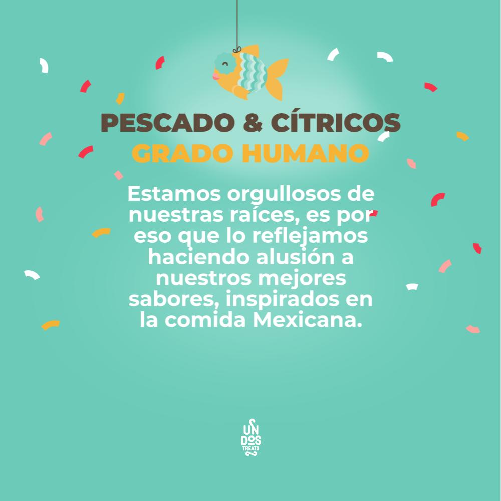 Foto 5 | Galletas Para Perro Un Dos Treats Pescado Y Citricos 155 Gr
