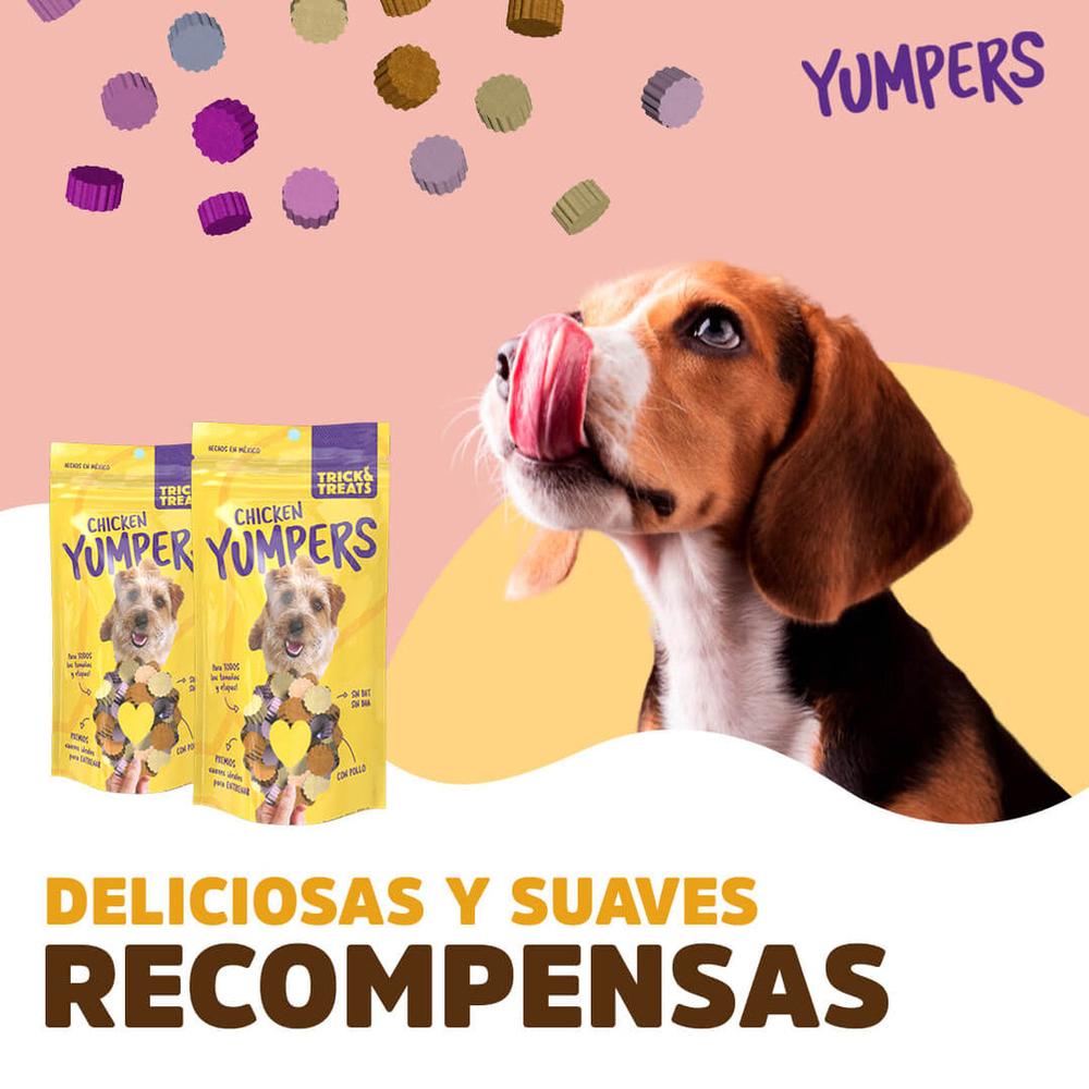 Foto 4 pulgar | Galletas Para Perros Trick & Treats Pollo 100 Gr