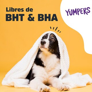 Foto 5 | Galletas Para Perros Trick & Treats Pollo 100 Gr