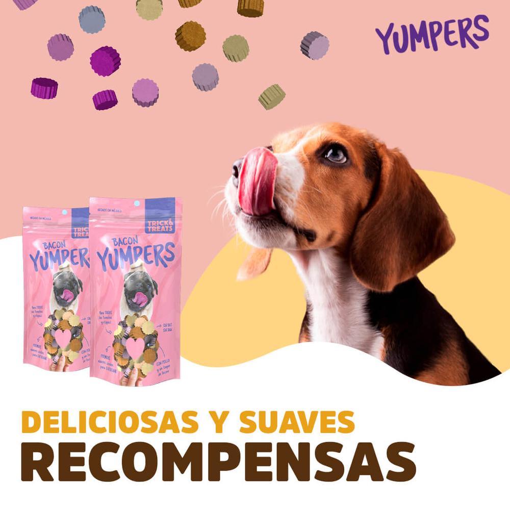Foto 3 | Galletas Para Perros Trick & Treats Tocino 100 Gr
