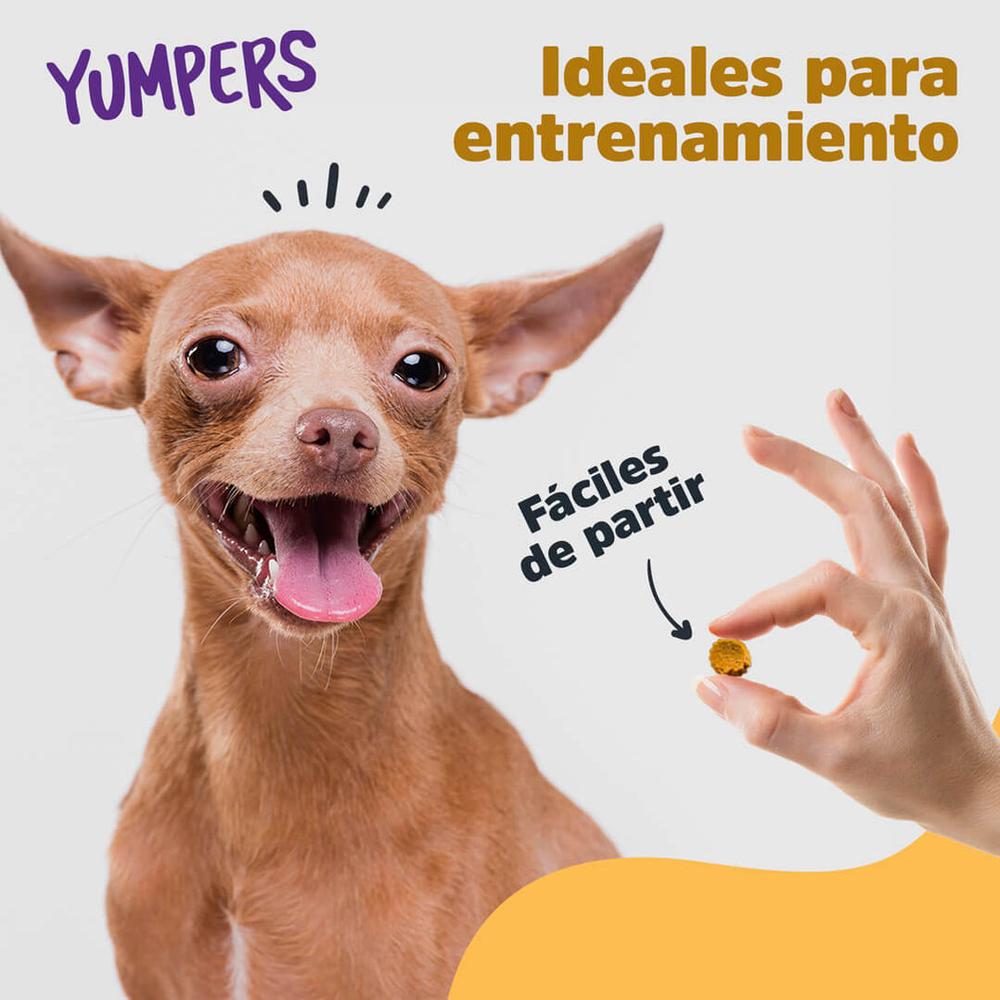 Foto 4 | Galletas Para Perros Trick & Treats Tocino 100 Gr