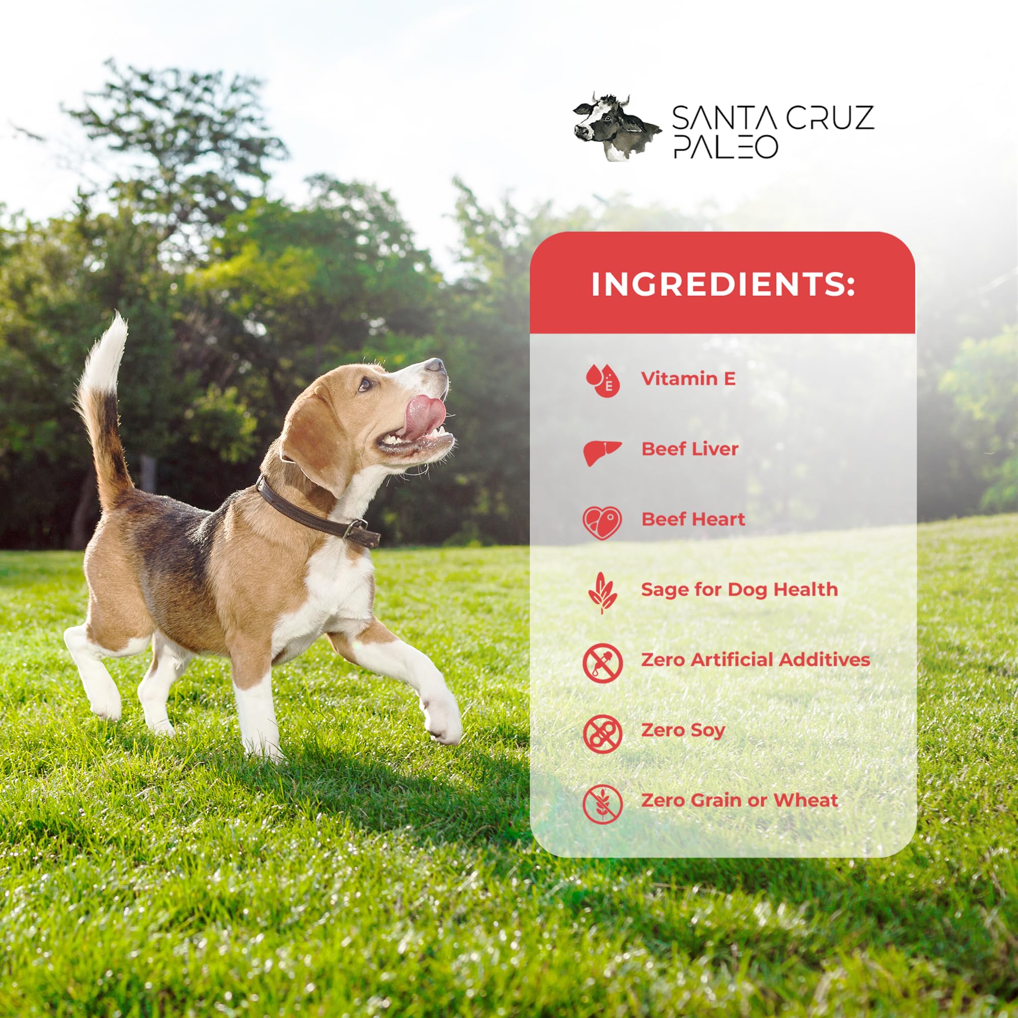 Foto 5 | Dog Treats Santa Cruz Paleo, Hígado Y Corazón De Res, Bolsa De 120 Ml - Venta Internacional.