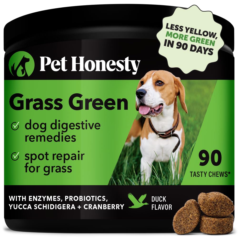 Foto 2 pulgar | Dog Grass Saver Pet Honesty Grass Green 90 Masticables - Venta Internacional.