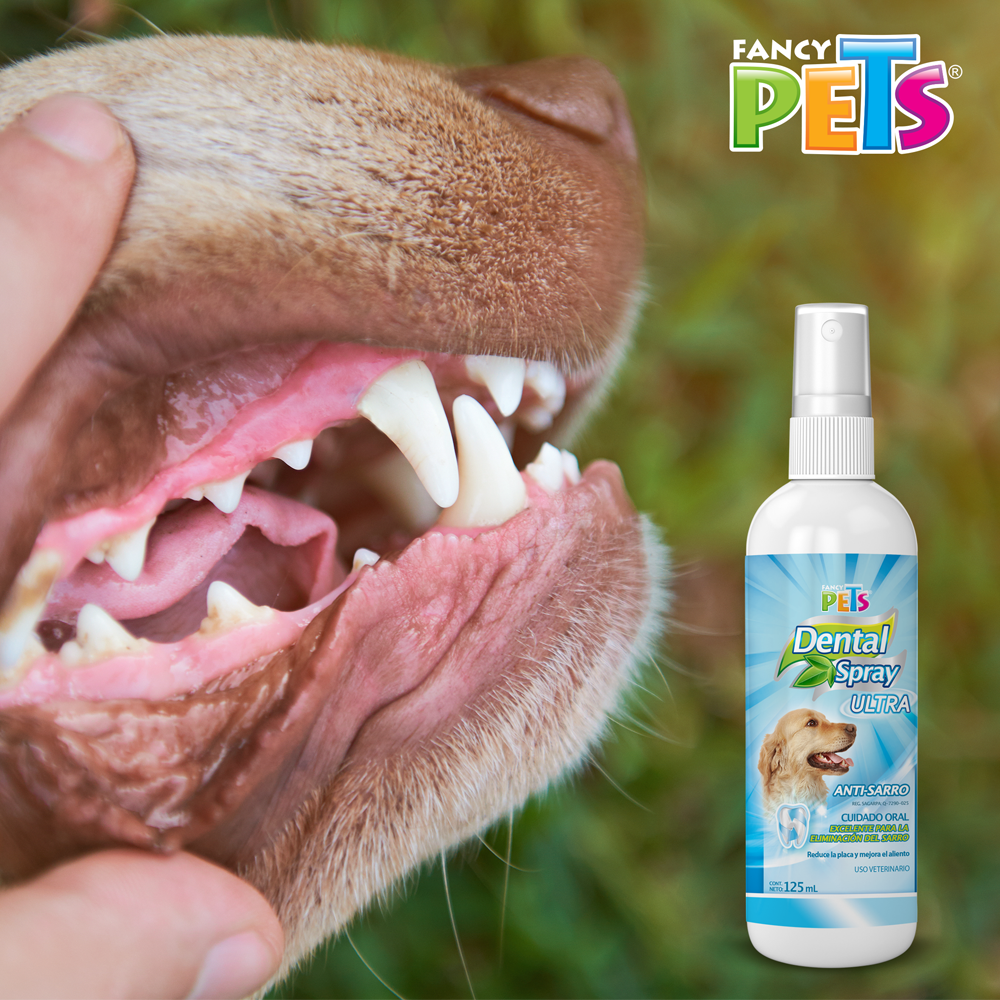 Foto 3 pulgar | Spray Dental Ultra Fancy Pets FL3783 para Perro 125 ml