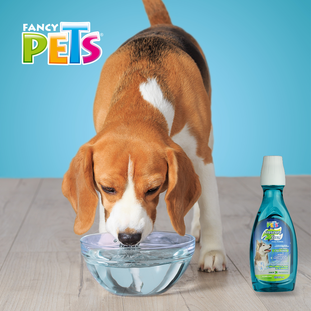 Foto 6 pulgar | Refescante del Aliento para Perros Fancy Pets FL3904 350 ml