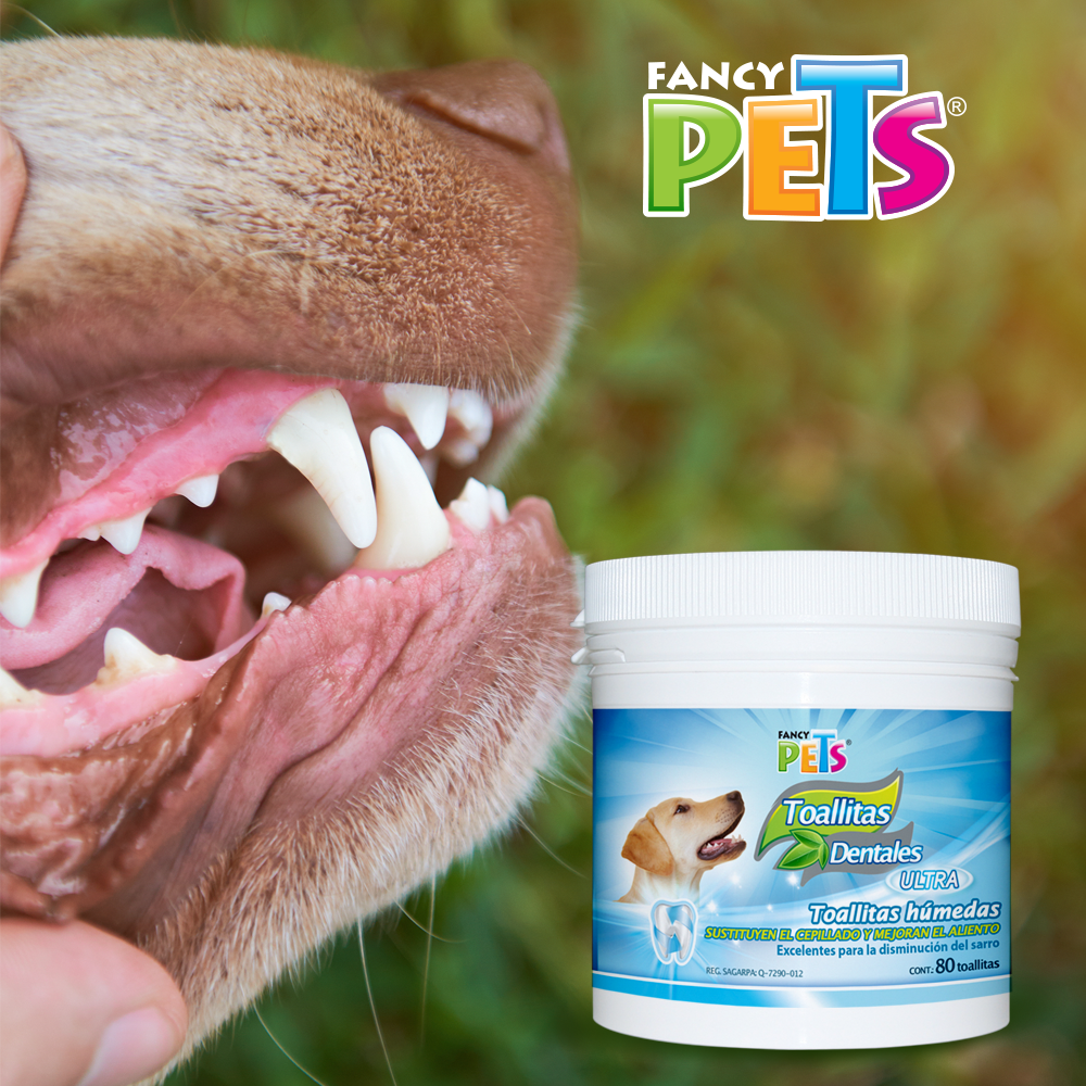 Foto 3 pulgar | Toallitas Dentales Limpiadoras Ultra Fancy Pets FL3820 para Perro 80 Piezas