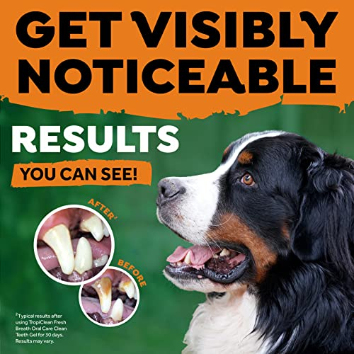 Foto 4 pulgar | Kit De Cuidado Bucal Tropiclean Fresh Breath Para Perros Grandes - Venta Internacional.