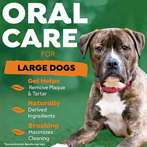 Foto 5 pulgar | Kit De Cuidado Bucal Tropiclean Fresh Breath Para Perros Grandes - Venta Internacional.