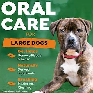 Foto 4 | Kit De Cuidado Bucal Tropiclean Fresh Breath Para Perros Grandes - Venta Internacional.