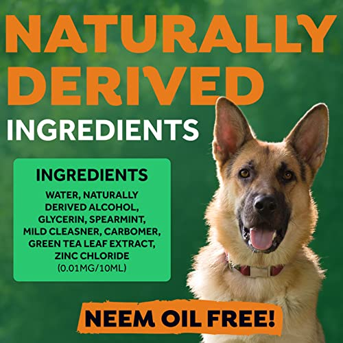 Foto 8 pulgar | Kit De Cuidado Bucal Tropiclean Fresh Breath Para Perros Grandes - Venta Internacional.