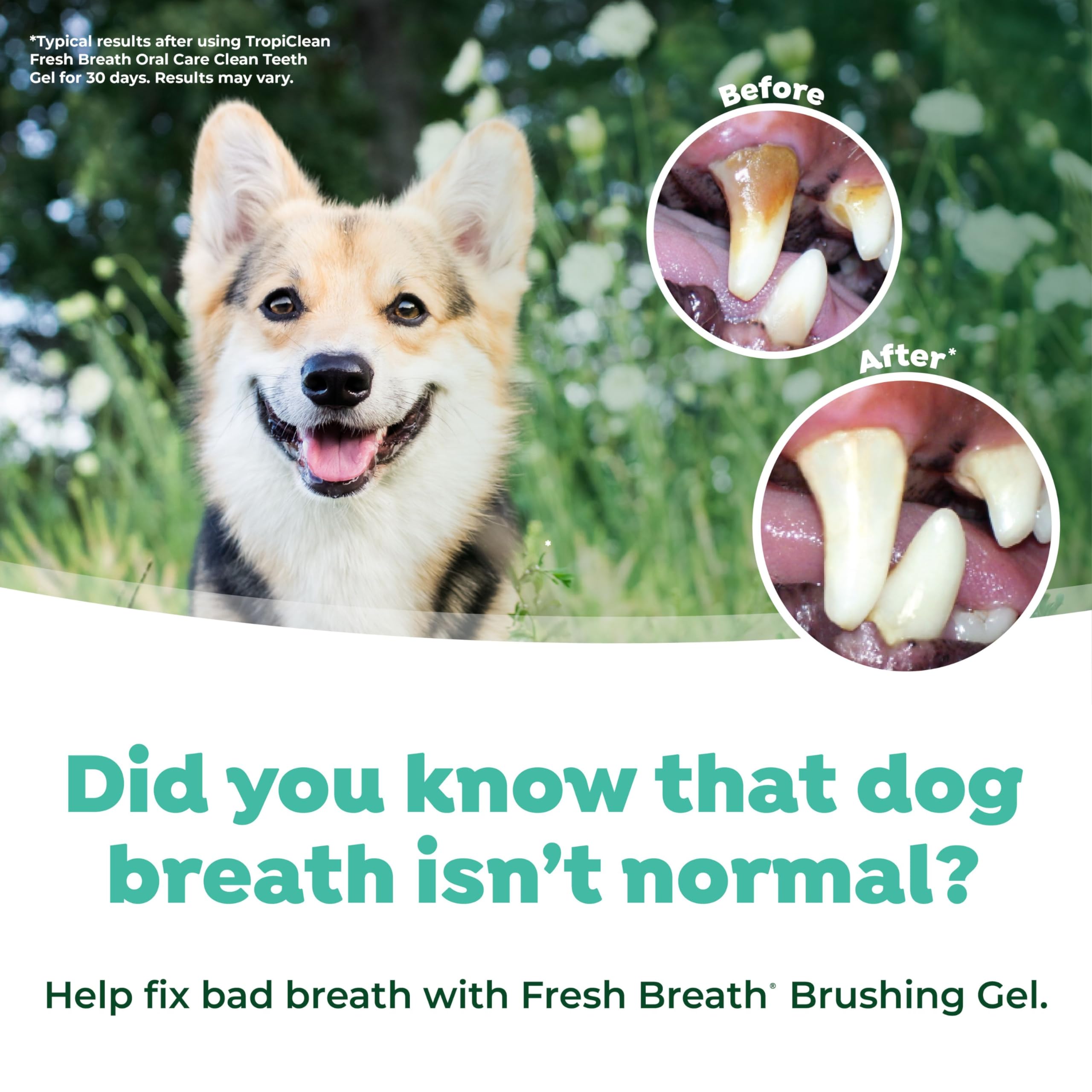 Foto 7 pulgar | Kit De Cuidado Bucal Tropiclean Fresh Breath Para Perros Grandes - Venta Internacional.