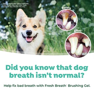 Foto 6 | Kit De Cuidado Bucal Tropiclean Fresh Breath Para Perros Grandes - Venta Internacional.