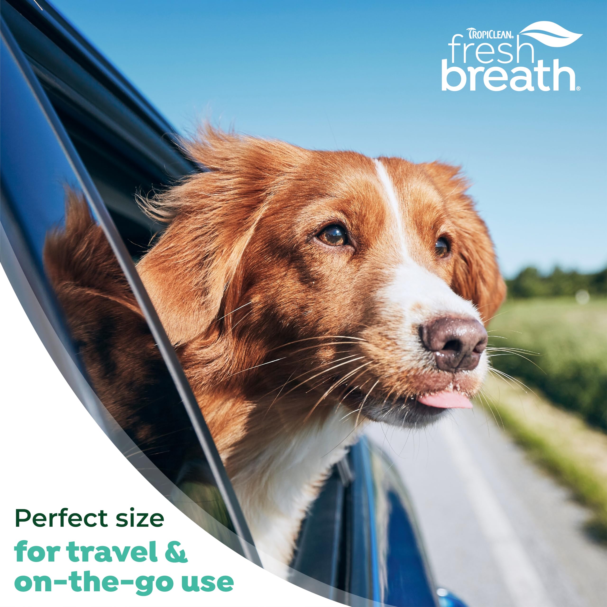 Foto 7 pulgar | Fresh Breath Drops Tropiclean Para Perros, 65 Ml, Concentrado - Venta Internacional.