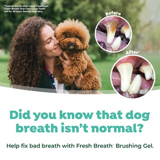Foto 6 | Kit De Cuidado Bucal Tropiclean Fresh Breath Puppy Con Cepillo De Dientes - Venta Internacional.
