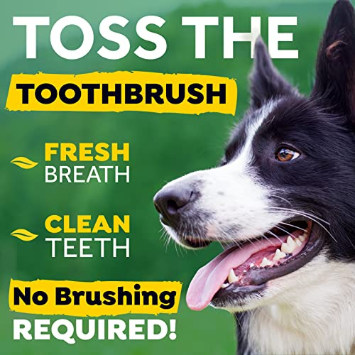 Foto 3 pulgar | Aditivo De Agua Dental Tropiclean Fresh Breath Para Perros, 1 Litro - Venta Internacional.