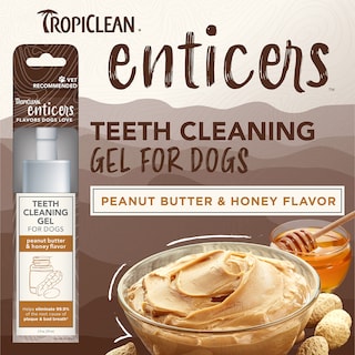 Foto 2 | Gel Limpiador De Dientes Para Perros Tropiclean Enticers, 60 Ml - Venta Internacional.