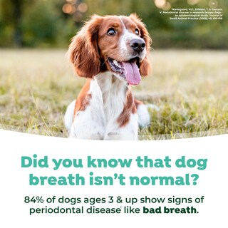 Foto 5 | Spray Ambientador Tropiclean Fresh Breath Para Perros Y Gatos - Venta Internacional.