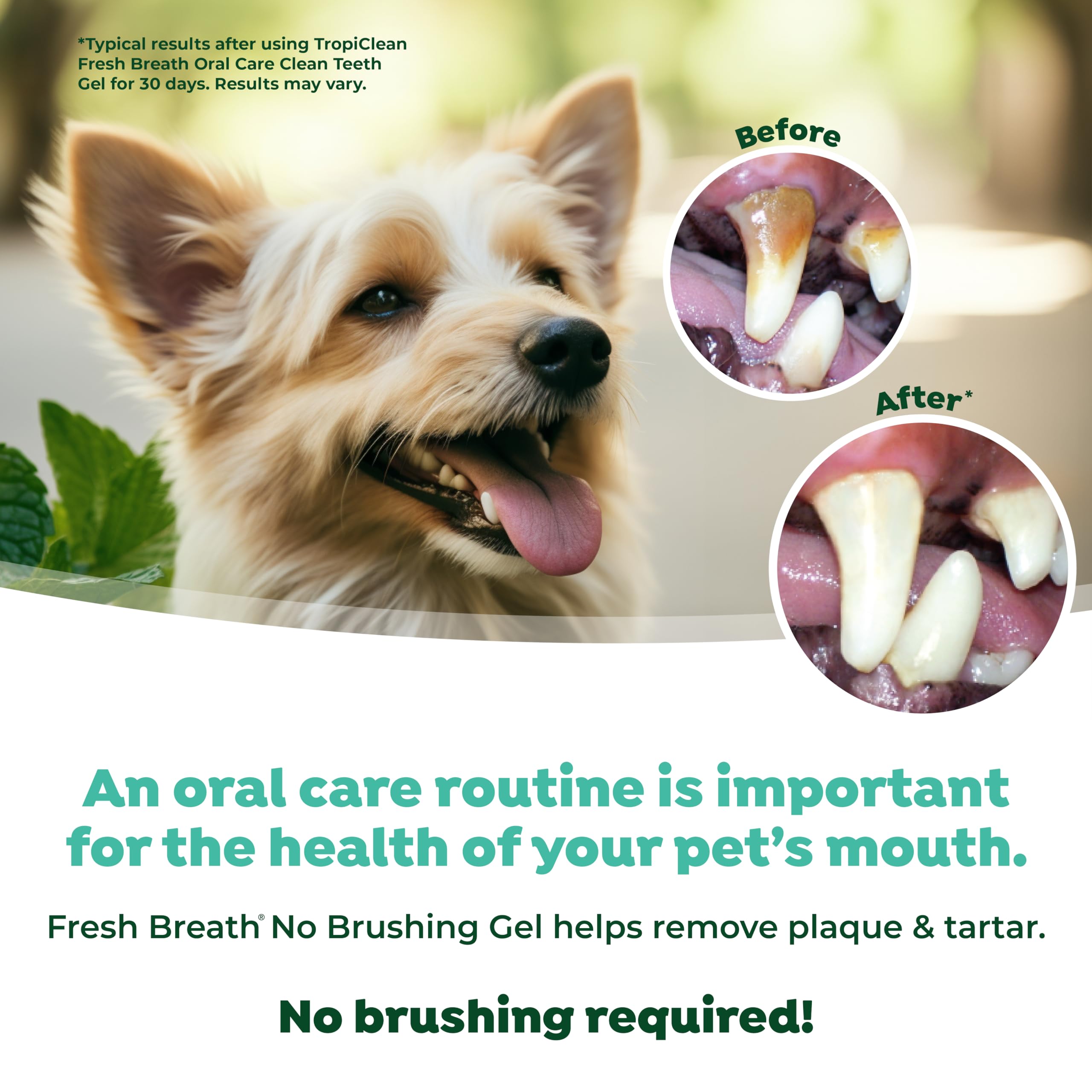 Foto 6 pulgar | Pasta De Dientes Tropiclean Fresh Breath Para Cachorros 60 Ml - Venta Internacional.