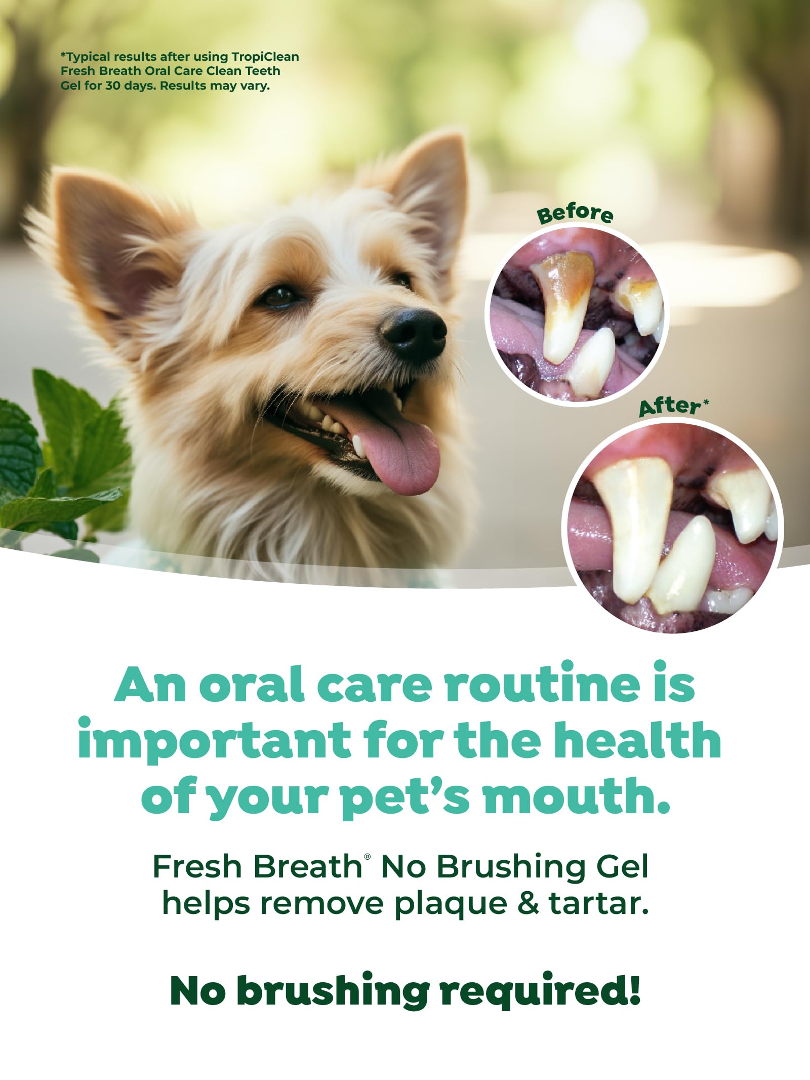 Foto 6 pulgar | Gel De Cuidado Bucal Tropiclean Fresh Breath Clean Teeth Para Perros - Venta Internacional.