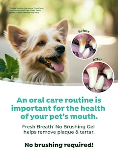 Foto 5 | Gel De Cuidado Bucal Tropiclean Fresh Breath Clean Teeth Para Perros - Venta Internacional.